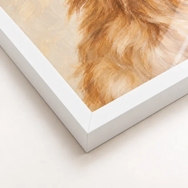 White frame illustration